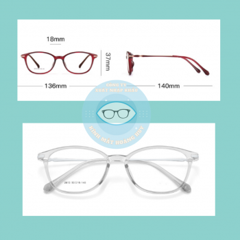 Gọng nhựa nữ mã 2613